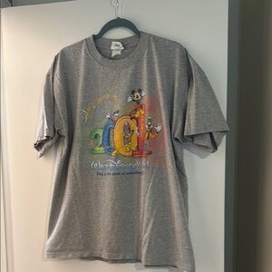 Colorful 2001 Men’s Disney Gray T-Shirt